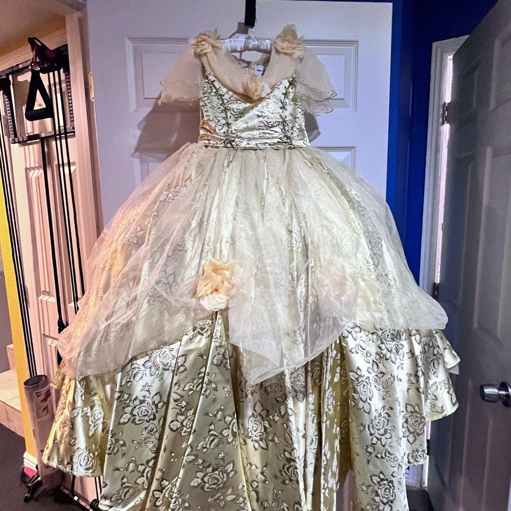 Disney Chasing fireflies belle costume Dress